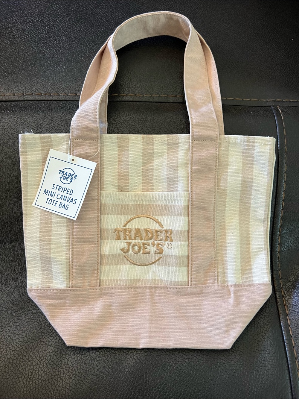 Pink Striped Mini Canvas Tote Bag
